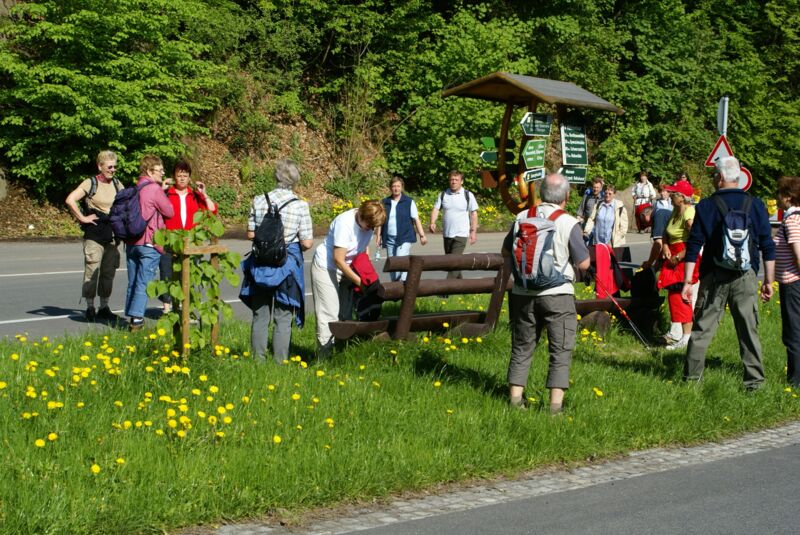 Aktiv unterwegs auf dem Holzweg (Foto: GV Rechenberg-Bienenmühle)