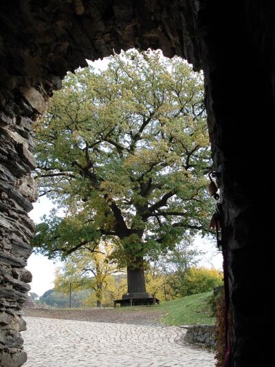 Burgrunie Elsterberg (Foto Stadtverwaltung Elsterberg) Sitzgruppe Kriebelstein (Foto: Stadt Elsterberg)
