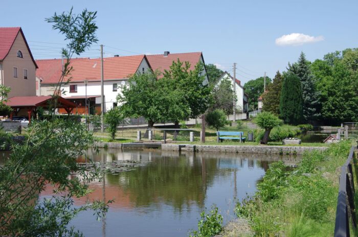 Teich Gräfenhain (Foto:Jirka Hofmann)