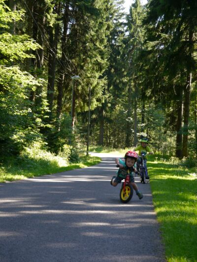 Wandern mit Kindern (Foto GV Rechenberg-Bienenmühle) Wandern mit Kindern (Foto GV Rechenberg-Bienenmühle)