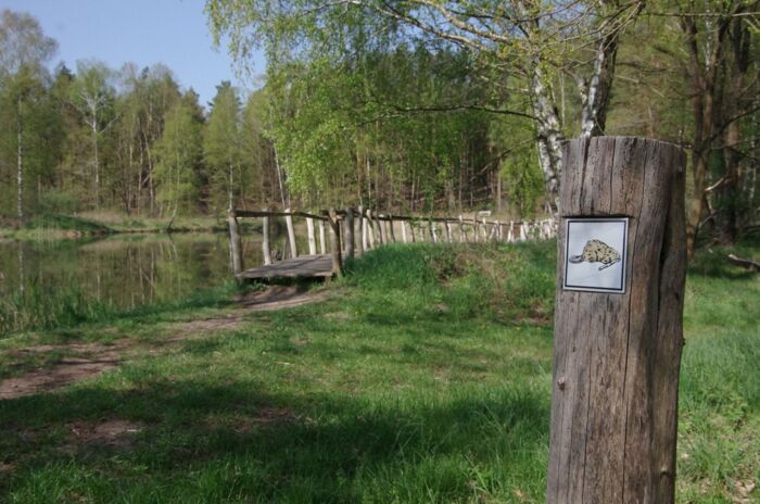 Der Biberpfad (Foto: Jirka Hofmann)