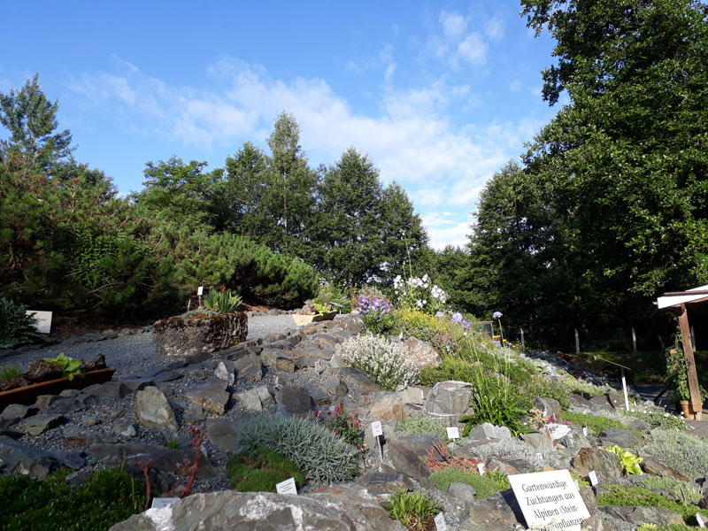 Botanischer Garten (Foto Museum Adorf/Vogtland)