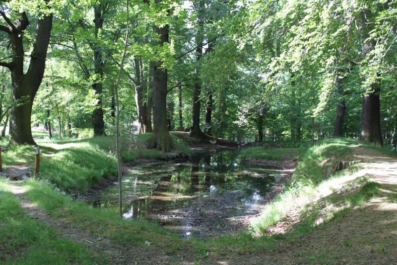 Polenzpark (Foto M. Hempel)