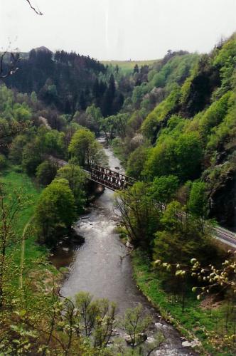 Natur im Steinicht (Foto: Stadt Elsterberg)