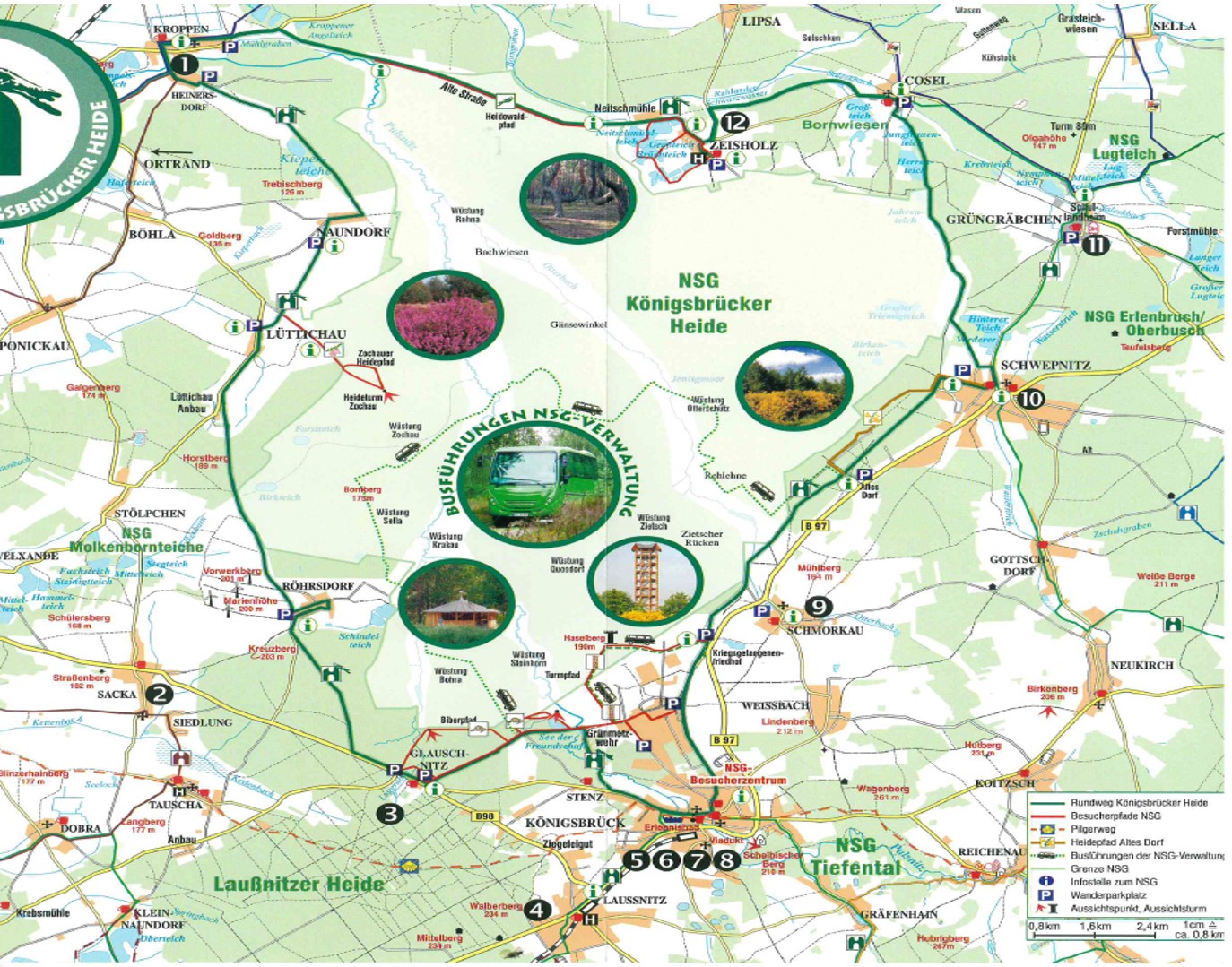 Karte Radweg Königsbrücker Heide (Quelle: Königsbrück Information)