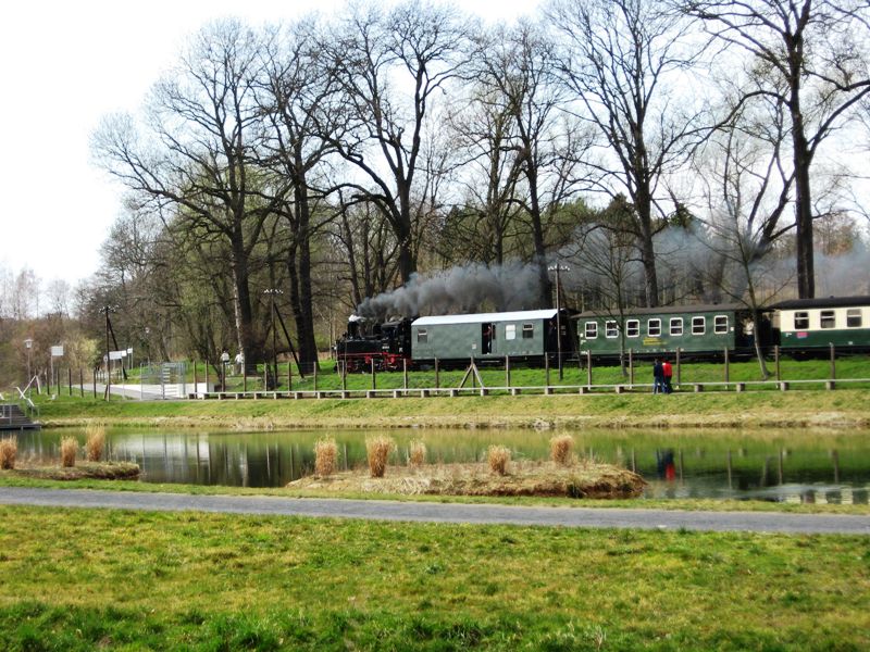 Wilder Robert (Foto Oschatzer Freizeitstätten GmbH)