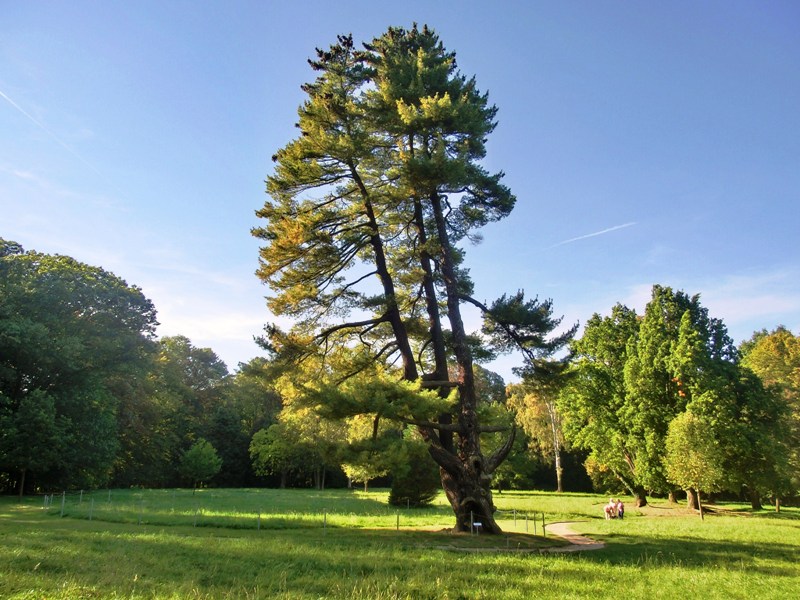 Schlosspark Wechselburg (Foto Gotthard Ladegast)
